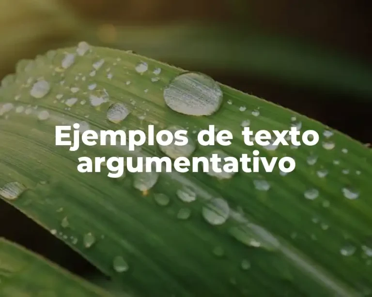 Ejemplos de texto argumentativo