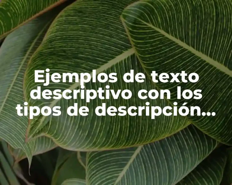 Ejemplos de texto descriptivo con los tipos de descripción literaria y Significado