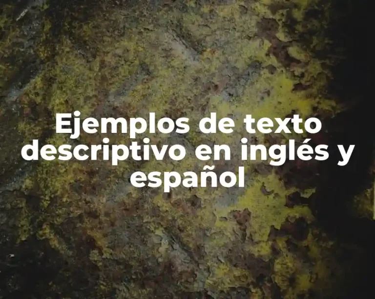 Ejemplos de texto descriptivo en inglés y español