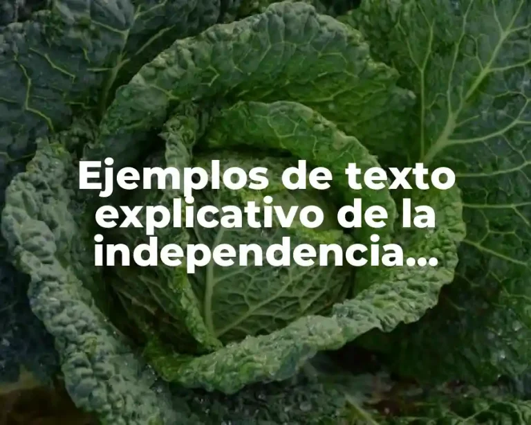 Ejemplos de texto explicativo de la independencia dominicana
