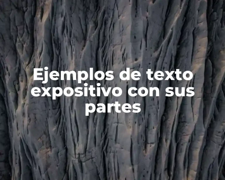 Ejemplos de texto expositivo con sus partes