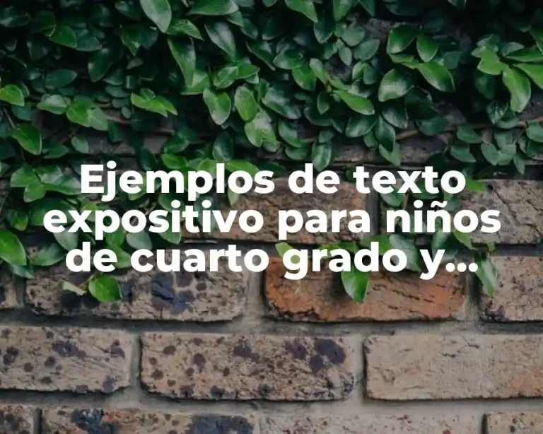 Ejemplos de texto expositivo para niños de cuarto grado y Significado