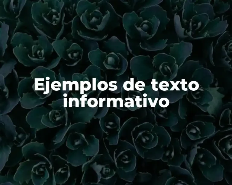 Ejemplos de texto informativo