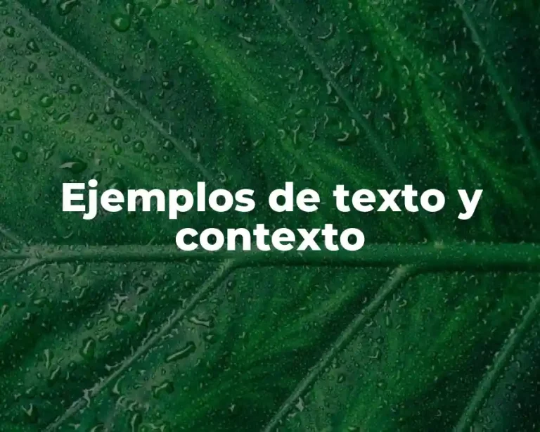 Ejemplos de texto y contexto