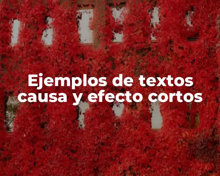 Ejemplos de textos causa y efecto cortos