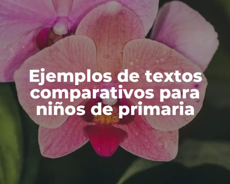 Ejemplos de textos comparativos para niños de primaria