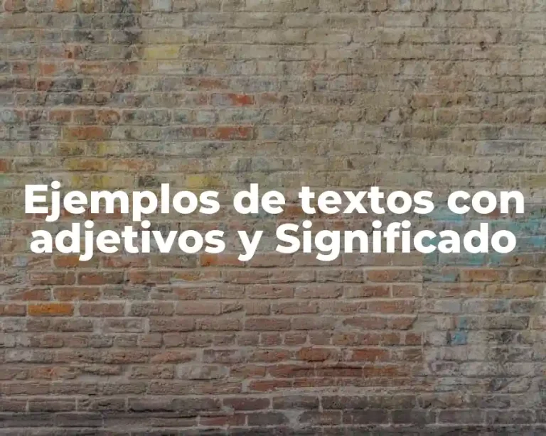 Ejemplos de textos con adjetivos y Significado