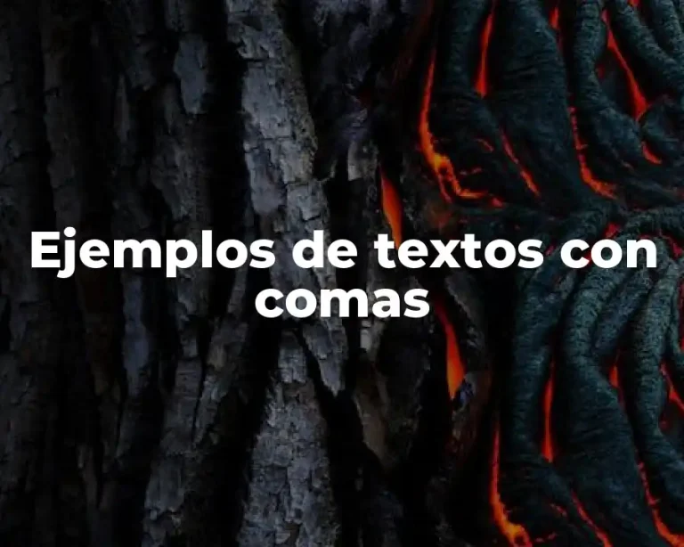 Ejemplos de textos con comas