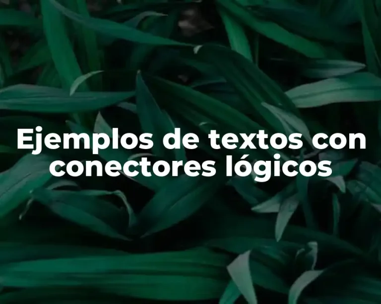 Ejemplos de textos con conectores lógicos
