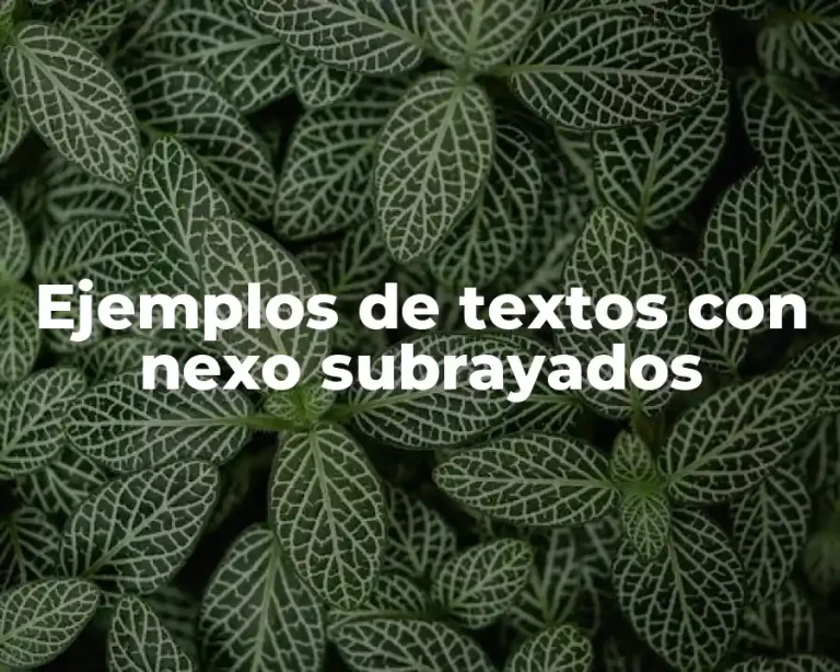 Ejemplos de textos con nexo subrayados