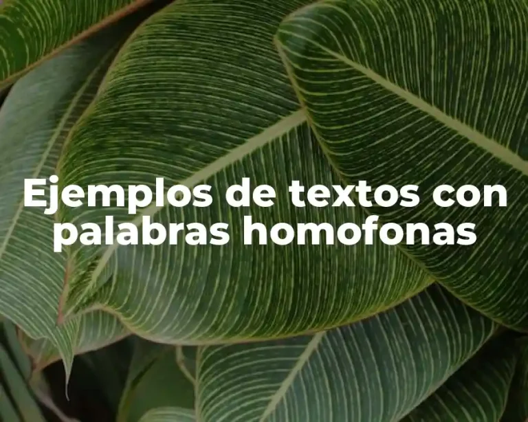 Ejemplos de textos con palabras homofonas