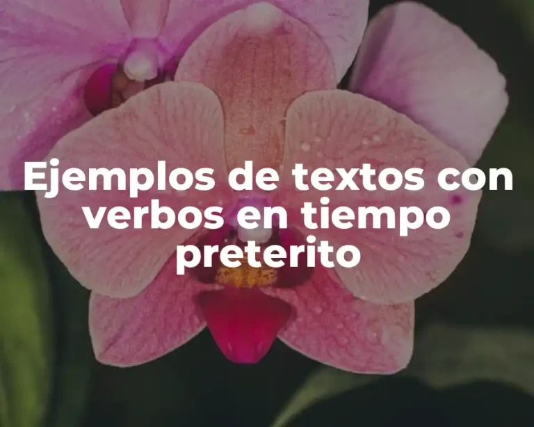 Ejemplos de textos con verbos en tiempo preterito