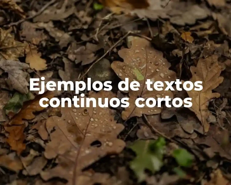 Ejemplos de textos continuos cortos