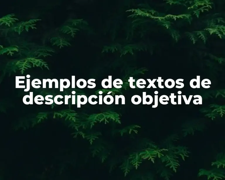 Ejemplos de textos de descripción objetiva
