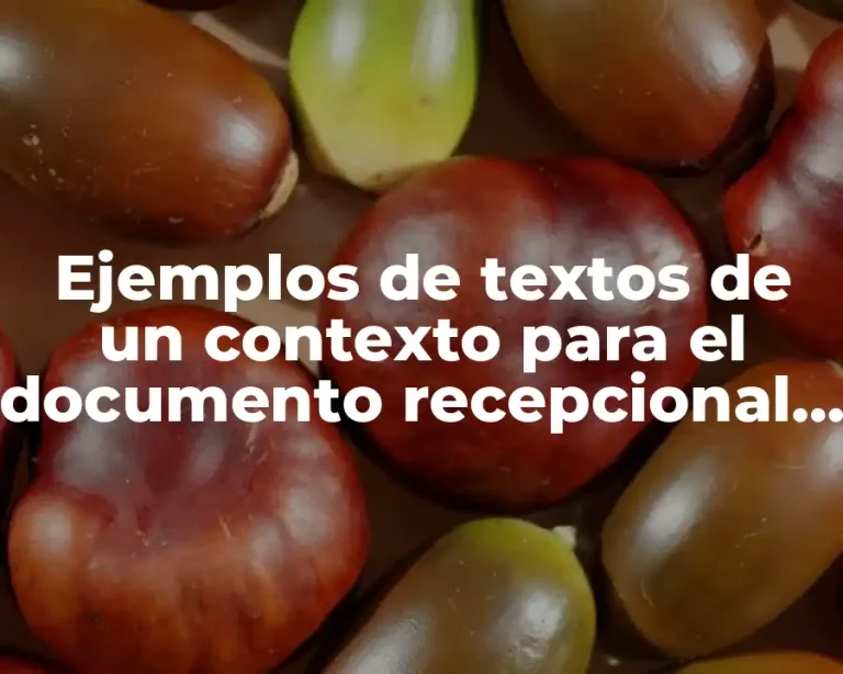 Ejemplos de textos de un contexto para el documento recepcional y Significado