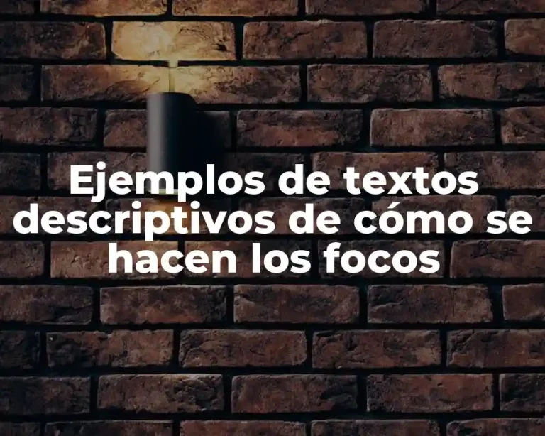 Ejemplos de textos descriptivos de cómo se hacen los focos