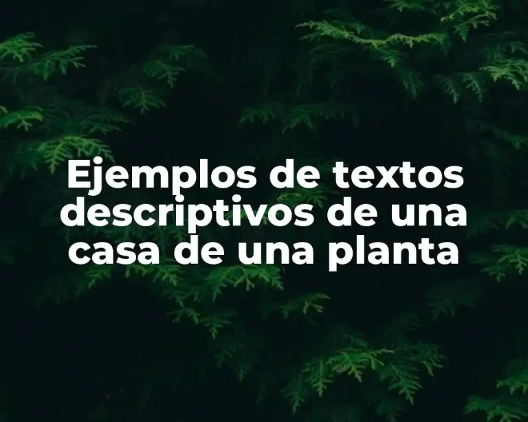 Ejemplos de textos descriptivos de una casa de una planta