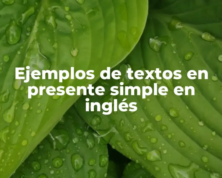 Ejemplos de textos en presente simple en inglés