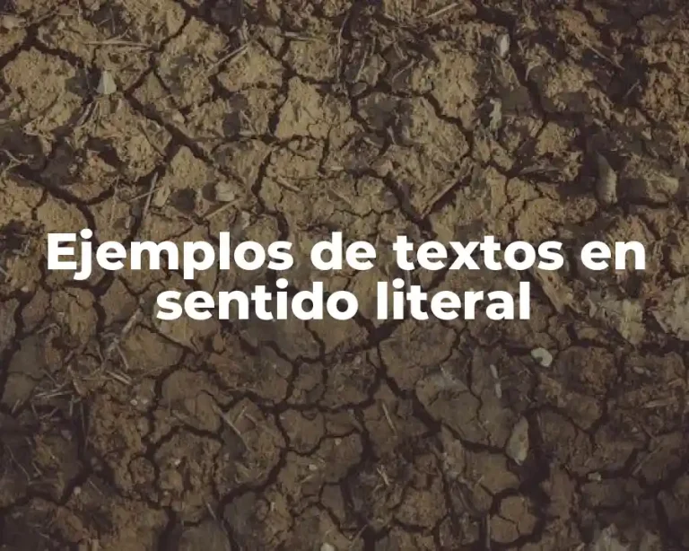 Ejemplos de textos en sentido literal