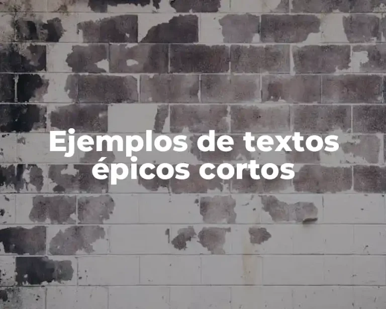 Ejemplos de textos épicos cortos