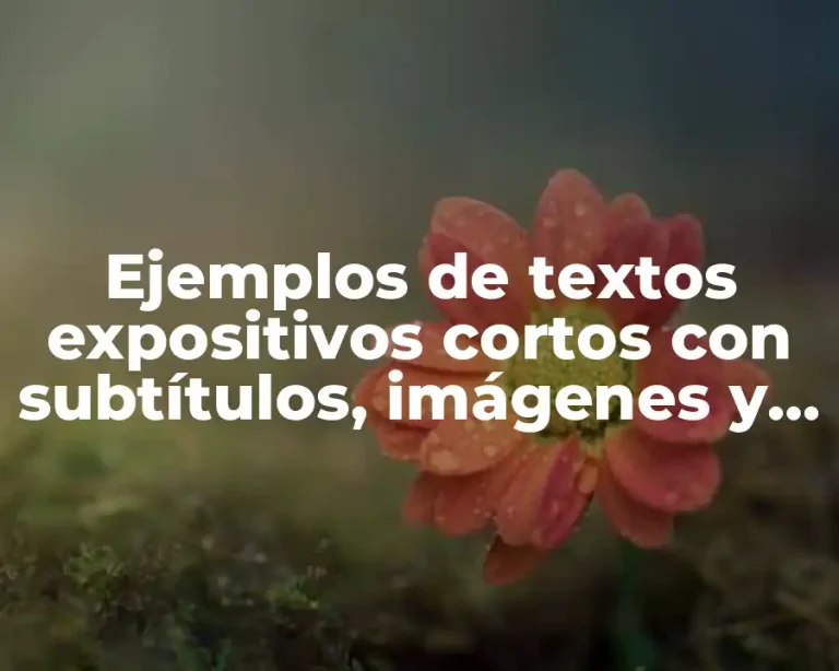 Ejemplos de textos expositivos cortos con subtítulos, imágenes y gráficas