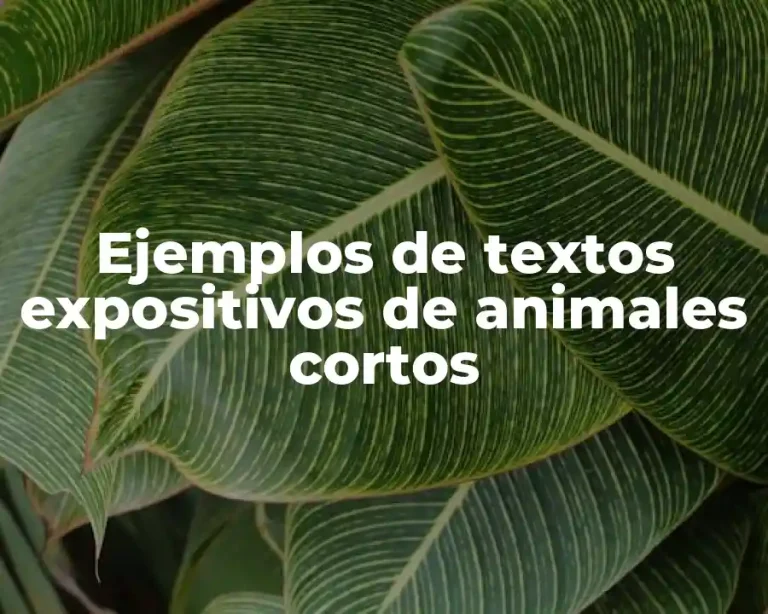 Ejemplos de textos expositivos de animales cortos
