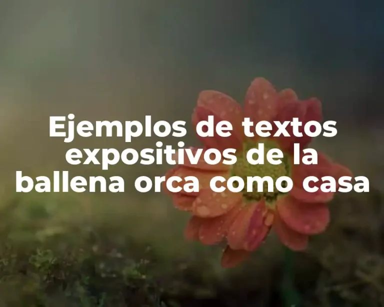 Ejemplos de textos expositivos de la ballena orca como casa