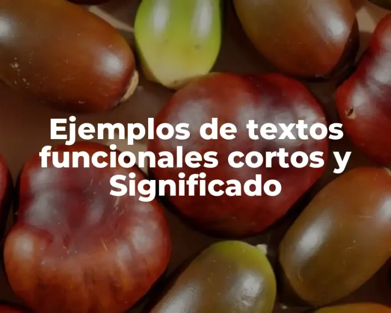 Ejemplos de textos funcionales cortos y Significado