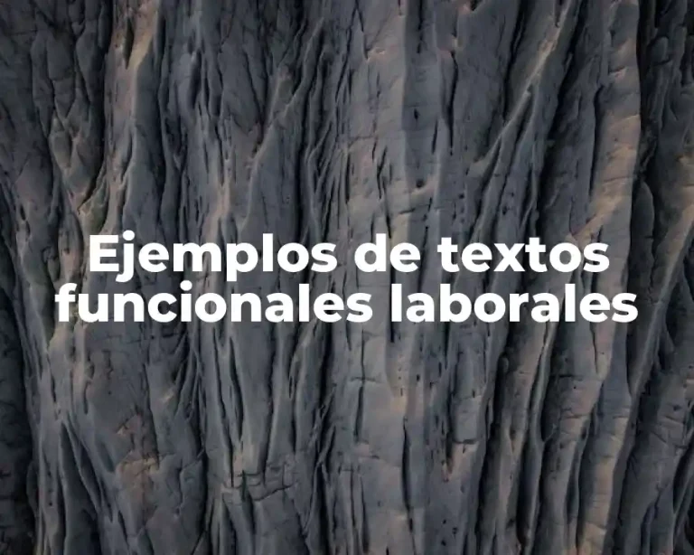 Ejemplos de textos funcionales laborales