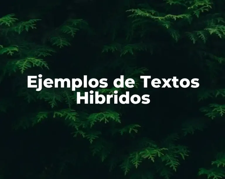 Ejemplos de Textos Hibridos
