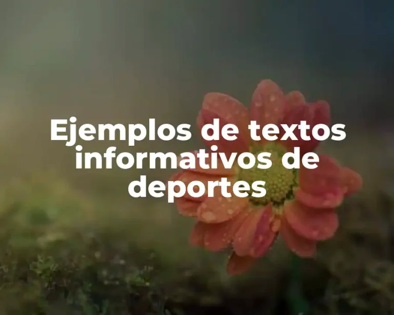 Ejemplos de textos informativos de deportes