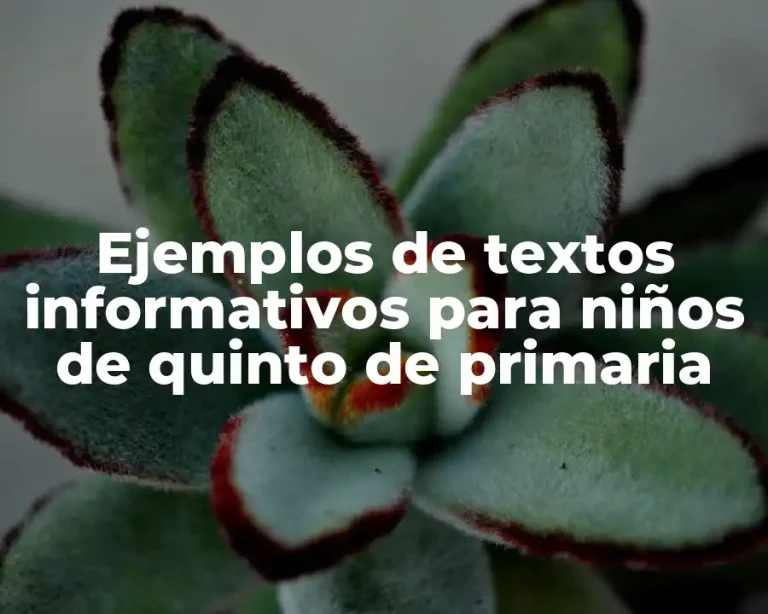 Ejemplos de textos informativos para niños de quinto de primaria