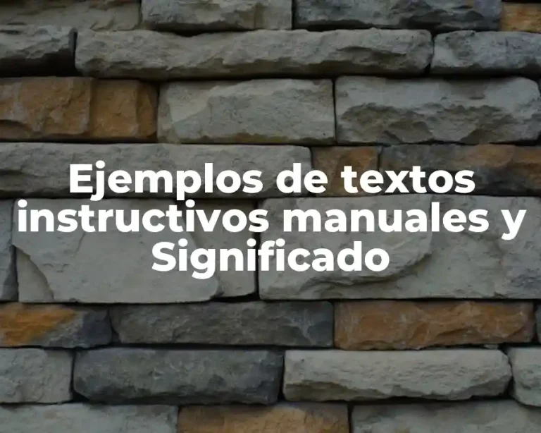 Ejemplos de textos instructivos manuales y Significado