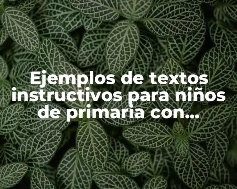 Ejemplos de textos instructivos para niños de primaria con preguntas