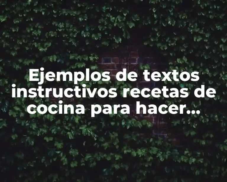 Ejemplos de textos instructivos recetas de cocina para hacer hotcakes