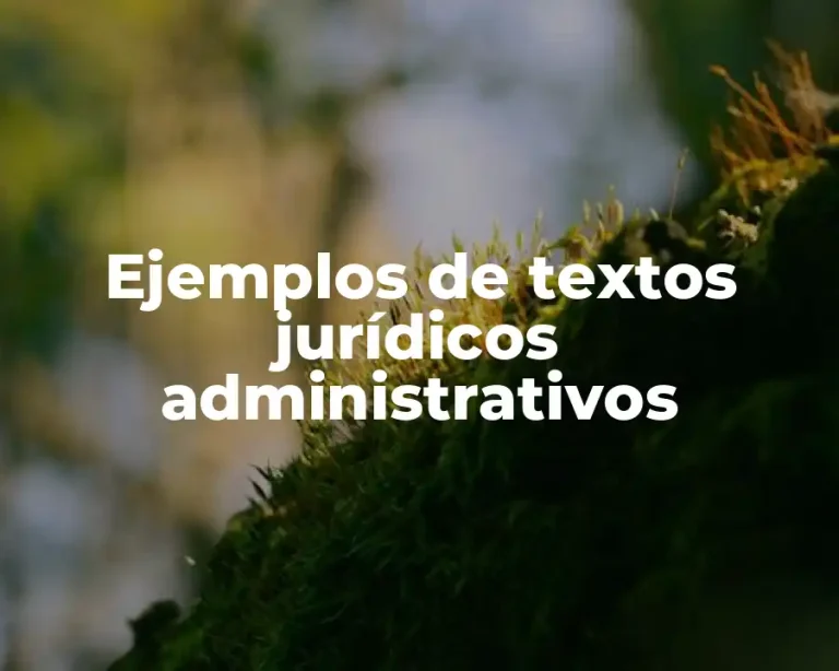 Ejemplos de textos jurídicos administrativos