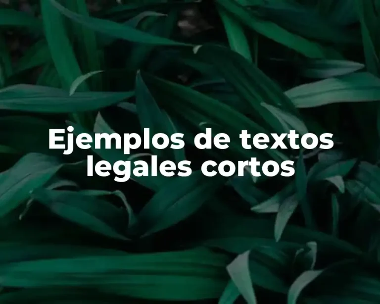 Ejemplos de textos legales cortos