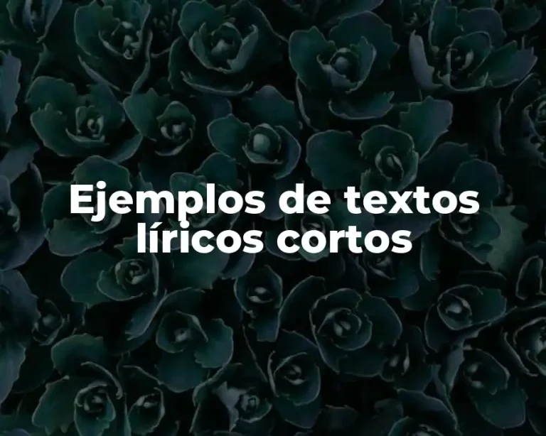Ejemplos de textos líricos cortos
