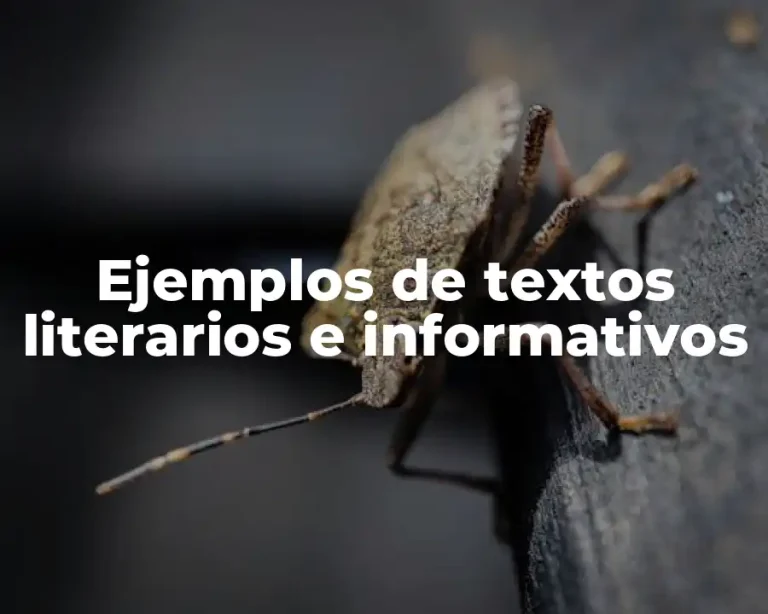 Ejemplos de textos literarios e informativos