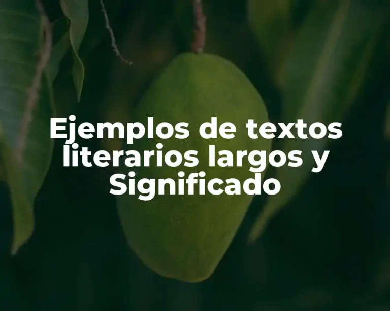 Ejemplos de textos literarios largos y Significado