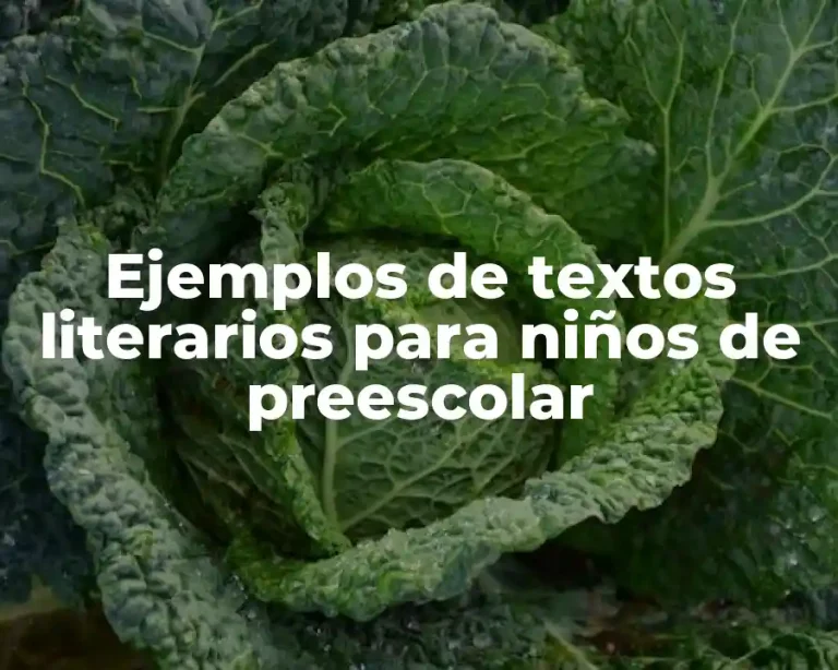 Ejemplos de textos literarios para niños de preescolar