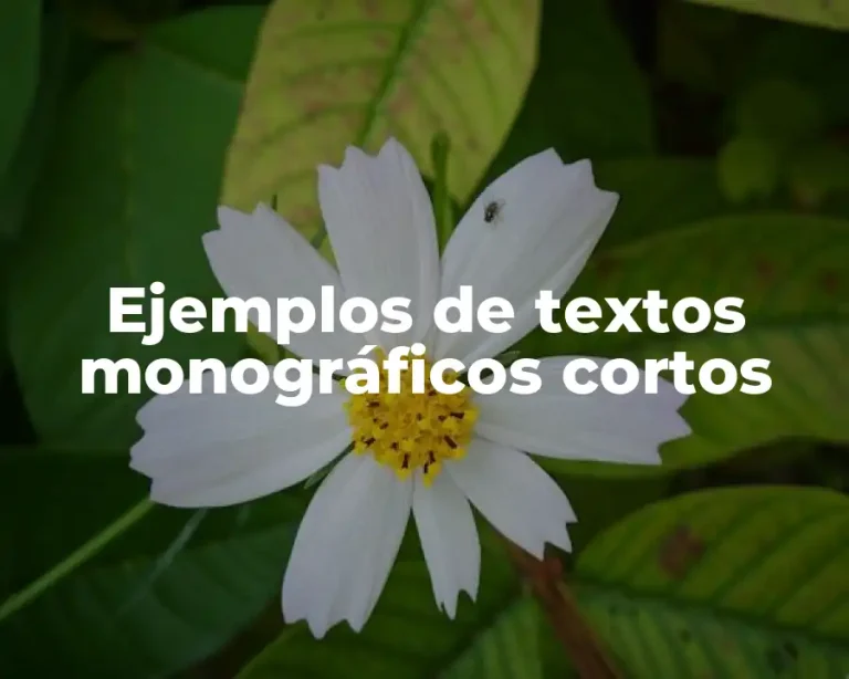 Ejemplos de textos monográficos cortos