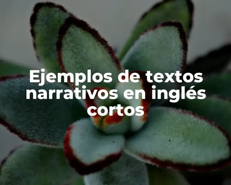Ejemplos de textos narrativos en inglés cortos