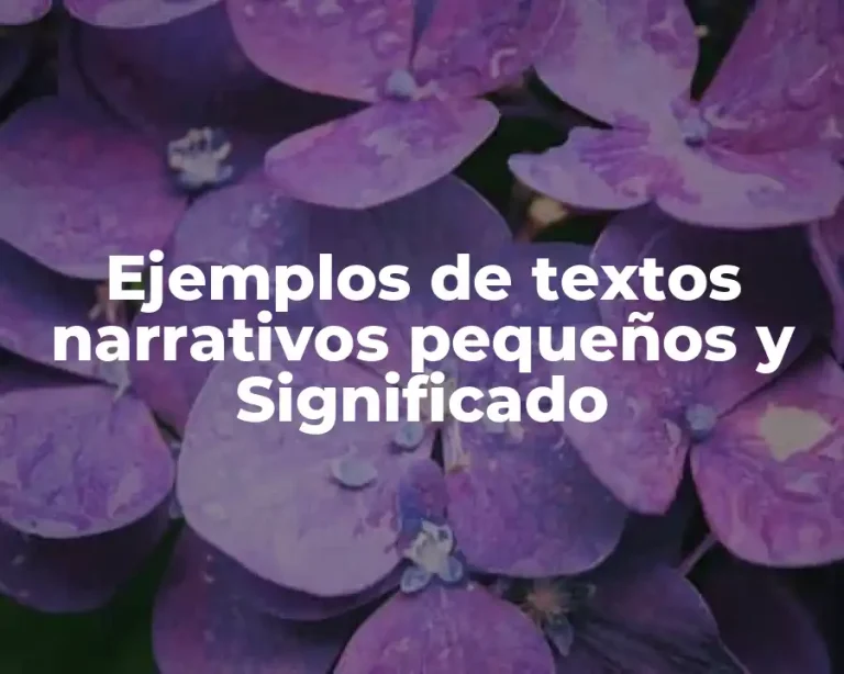Ejemplos de textos narrativos pequeños y Significado