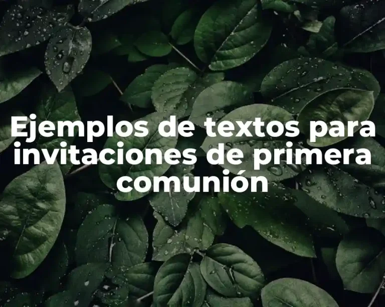 Ejemplos de textos para invitaciones de primera comunión