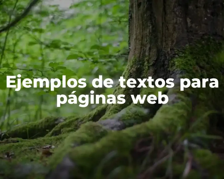 Ejemplos de textos para páginas web