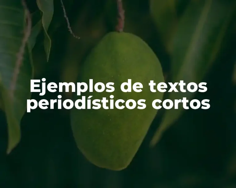 Ejemplos de textos periodísticos cortos
