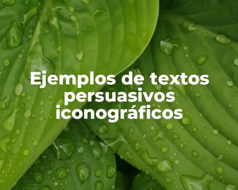 Ejemplos de textos persuasivos iconográficos