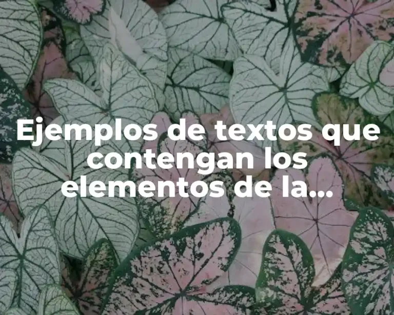 Ejemplos de textos que contengan los elementos de la comunicación