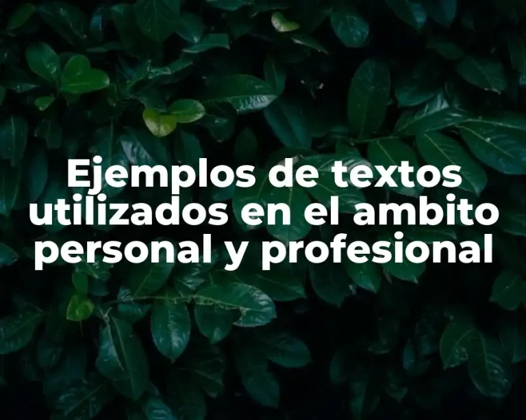 Ejemplos de textos utilizados en el ambito personal y profesional